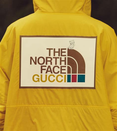 prezzo the north face gucci|north face x Gucci outlet.